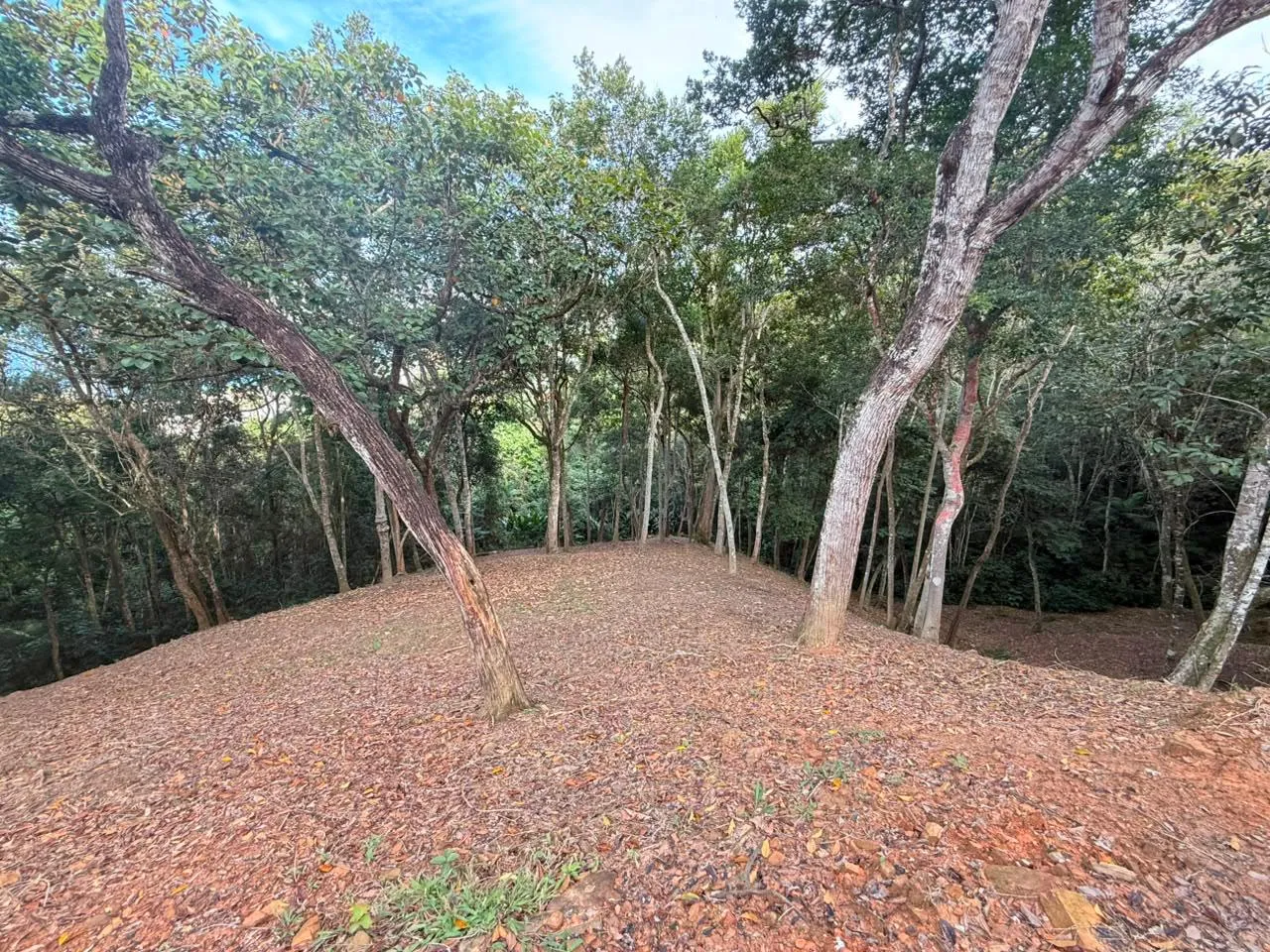 LOTE CANTO DA PRAIA