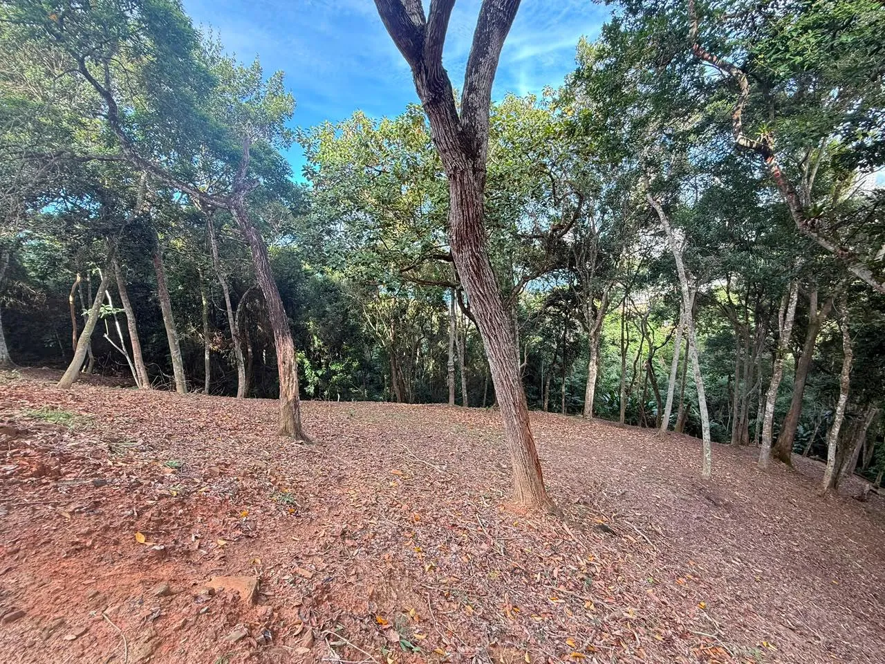 LOTE CANTO DA PRAIA