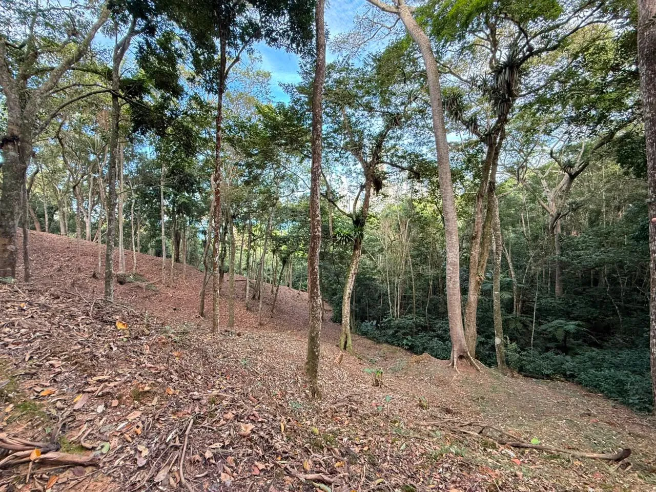 LOTE CANTO DA PRAIA