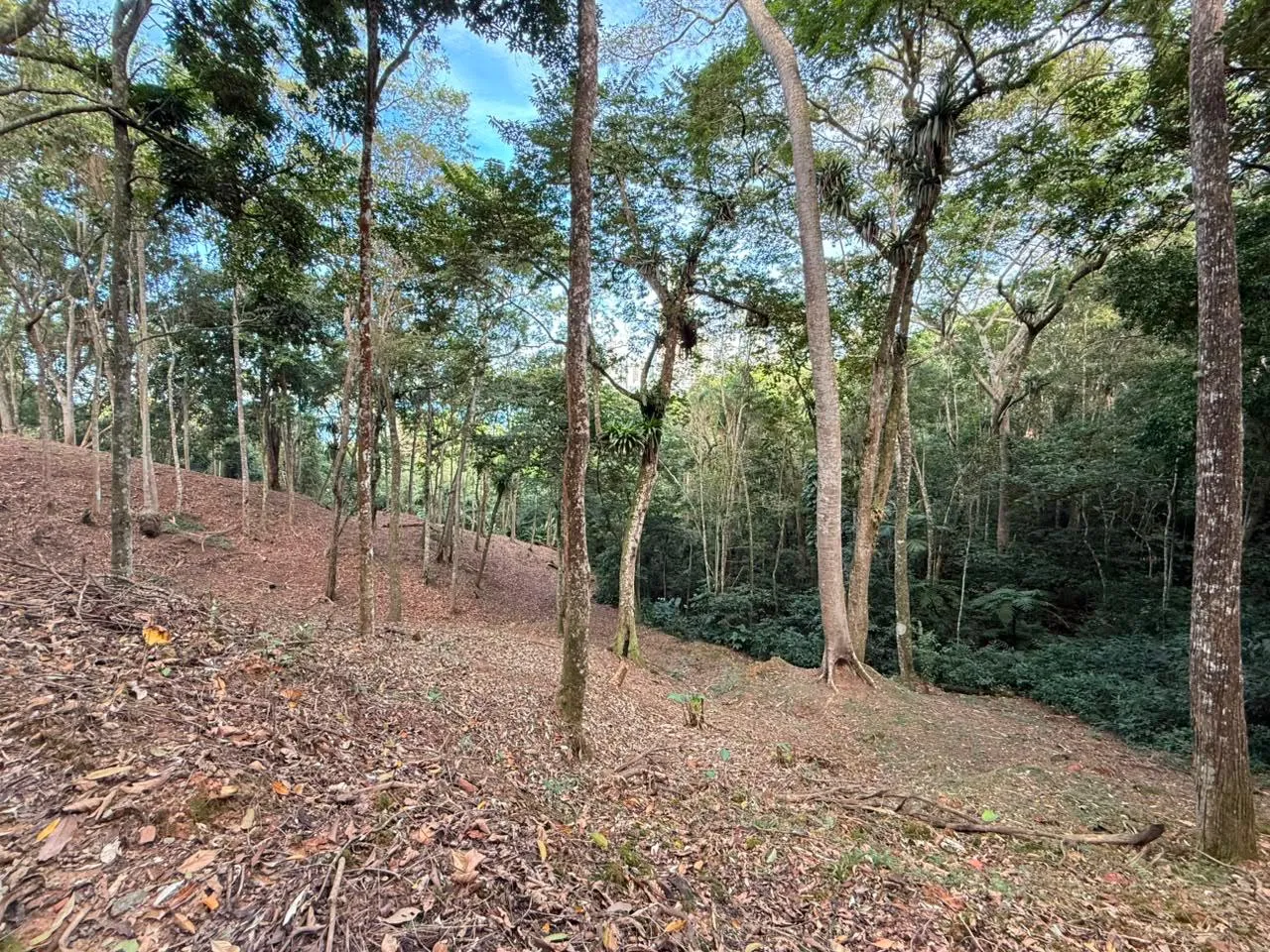 LOTE CANTO DA PRAIA