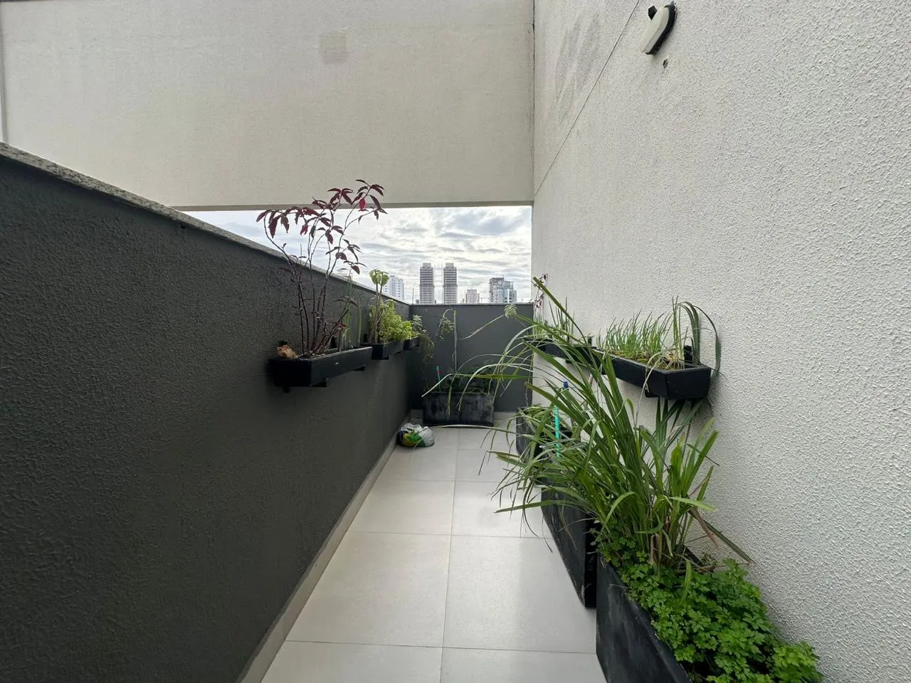SPOT