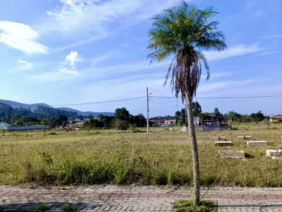 LOTE SERTÃO DO TROMBUDO - Sertão do Trombudo - Itapema